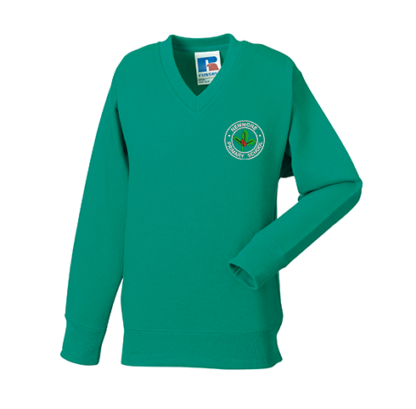 Newmore Primary V-Neck Sweatshirt